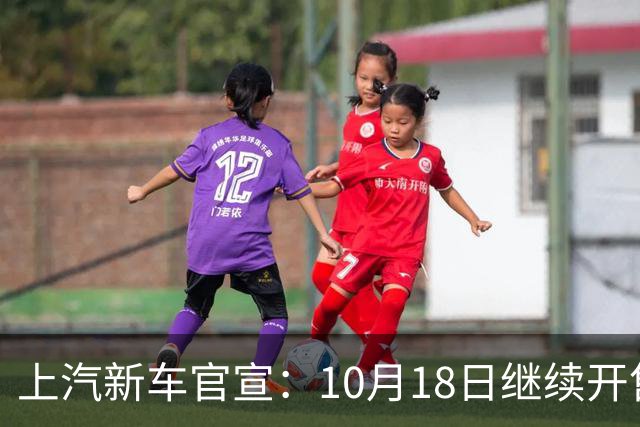 上汽新车官宣：10月18日继续开售，8.99万起