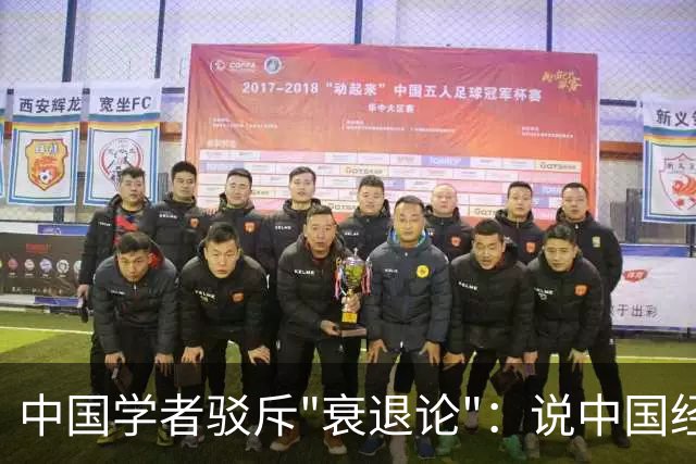 中国学者驳斥"衰退论"：说中国经济不行的都错了