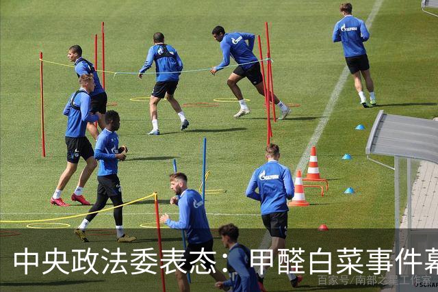 中央政法委表态：甲醛白菜事件幕后黑手被抓是开始，还有更严重的