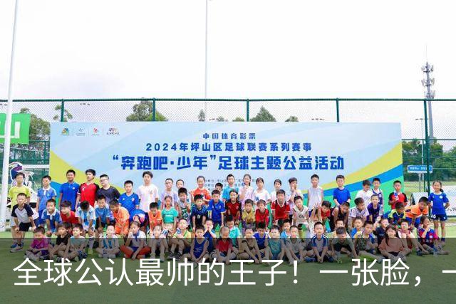 全球公认最帅的王子！一张脸，一个笑容，美得惊人！