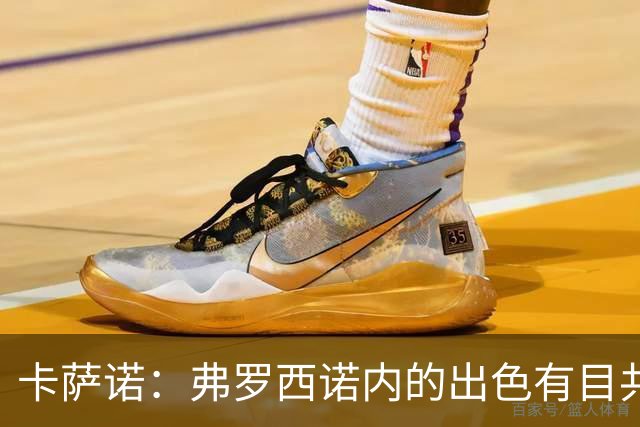 卡萨诺：弗罗西诺内的出色有目共睹；阿尔维尼为何才崭露头角