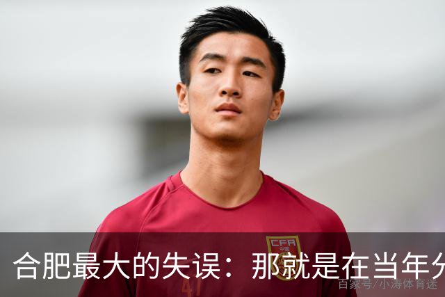 合肥最大的失误：那就是在当年分巢湖的时候，竟然没有拿下无为县