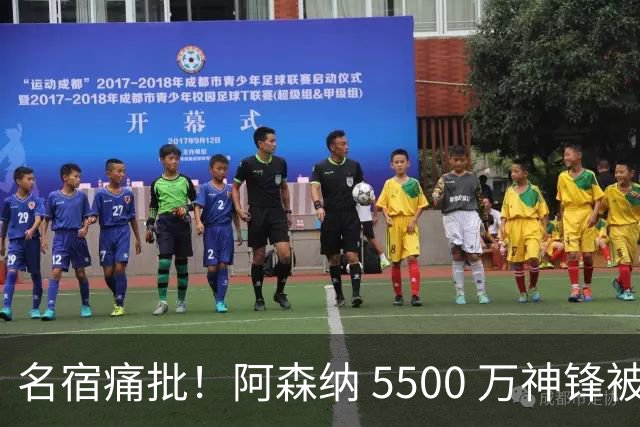 名宿痛批！阿森纳 5500 万神锋被彻底用废！阿尔特塔离谱毁人