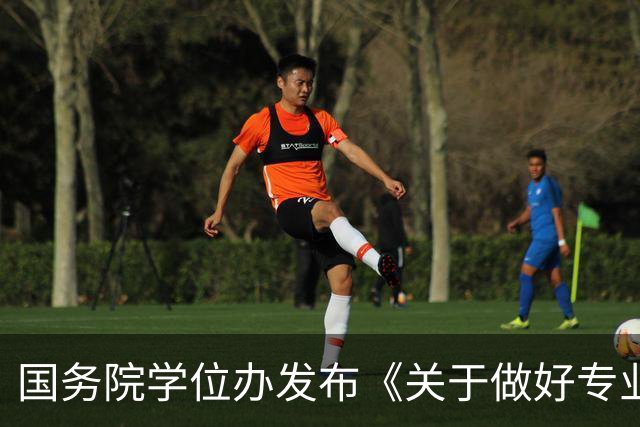 国务院学位办发布《关于做好专业学位研究生以实践成果申请学位工作的意见》