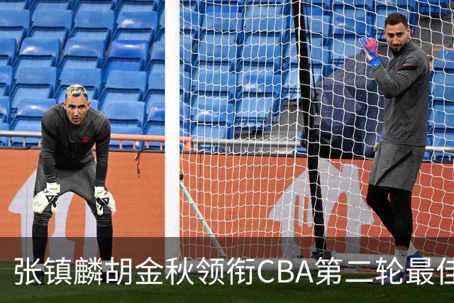 张镇麟胡金秋领衔CBA第二轮最佳阵容 付豪篮板称王