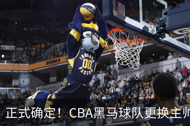 正式确定！CBA黑马球队更换主帅，许钟豪走马上任