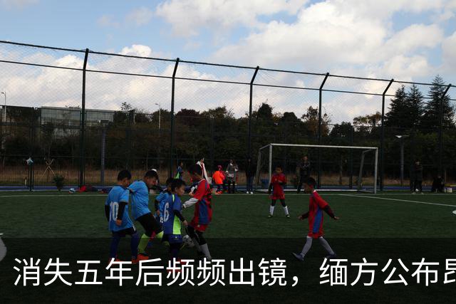 消失五年后频频出镜，缅方公布昂山素季近况，是在为5件大事铺路