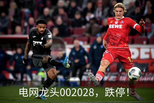 电网龙头002028，跌停！