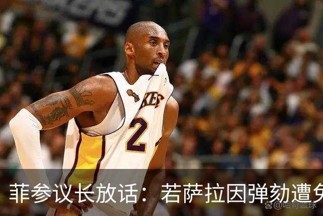 菲参议长放话：若萨拉因弹劾遭免职，将因利益冲突拒绝接任！