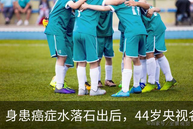 身患癌症水落石出后，44岁央视名嘴杨帆，如今换了另一条路走